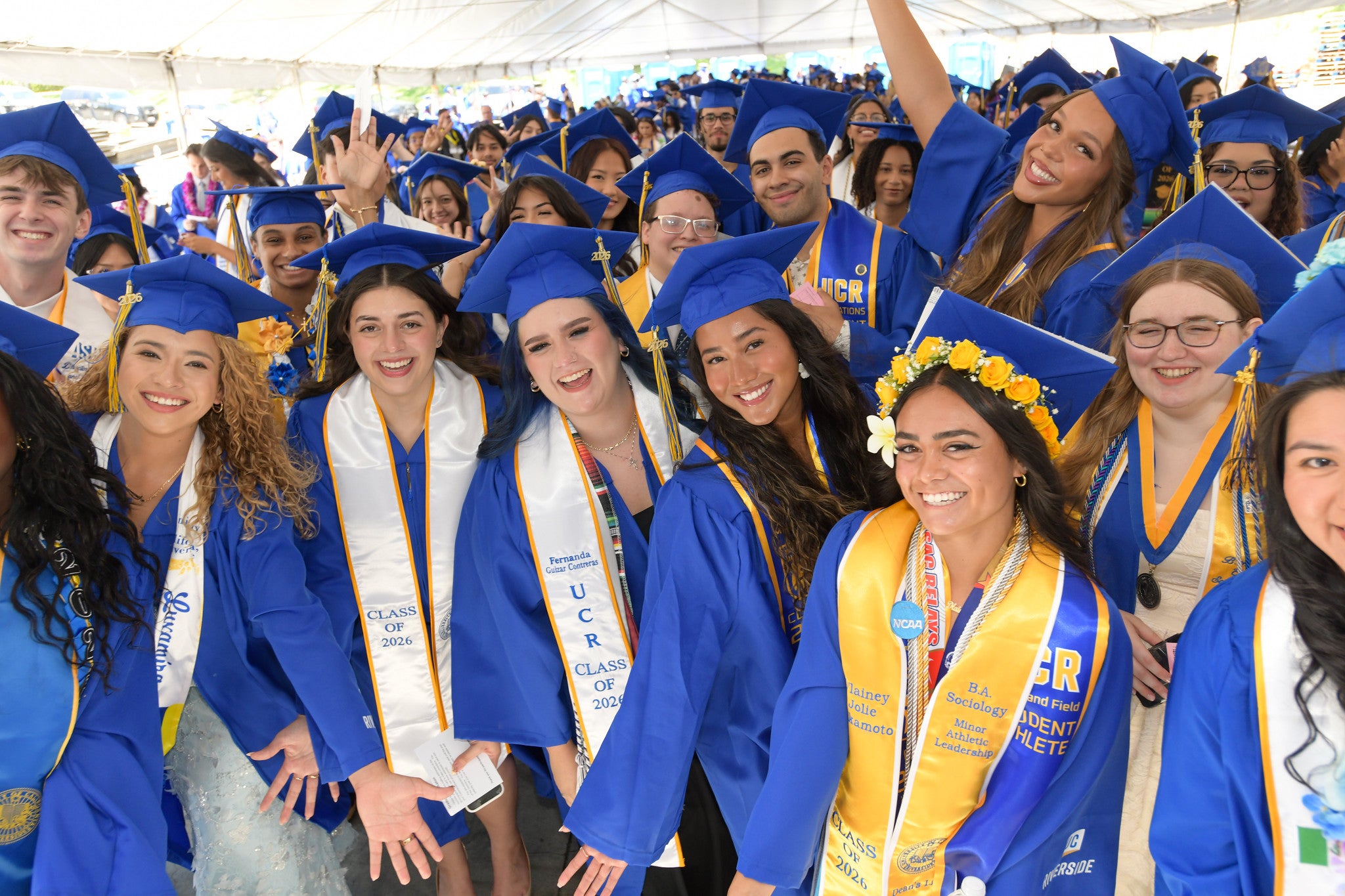 A large group of joyful UC Riverside CHASS graduates in blue caps and gowns smile and pose closely together for a photo under a white tent during a graduation celebration.